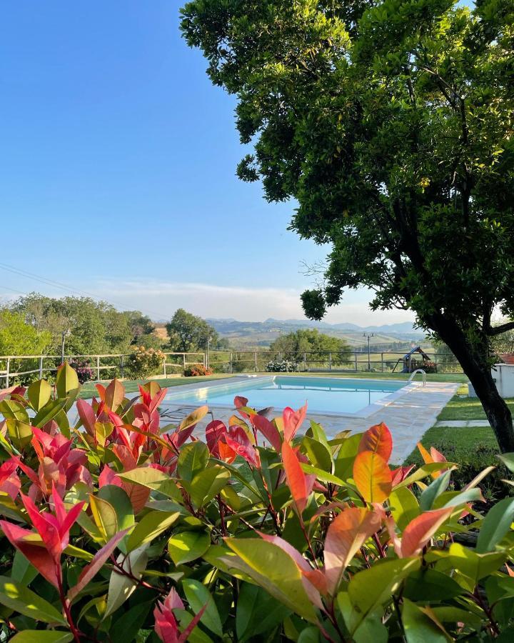 Montenovo Country House Ostra Vetere Екстер'єр фото