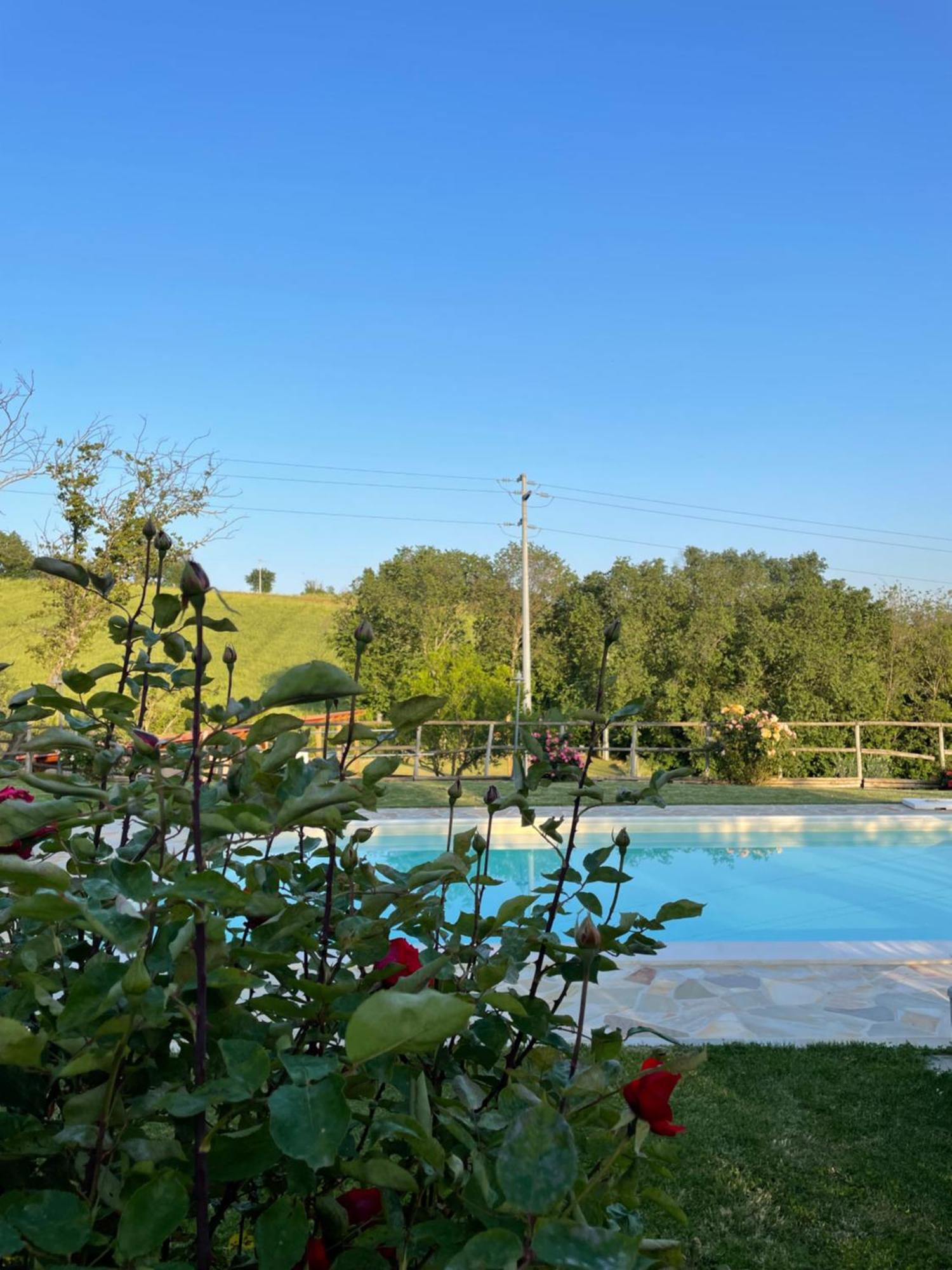 Montenovo Country House Ostra Vetere Екстер'єр фото