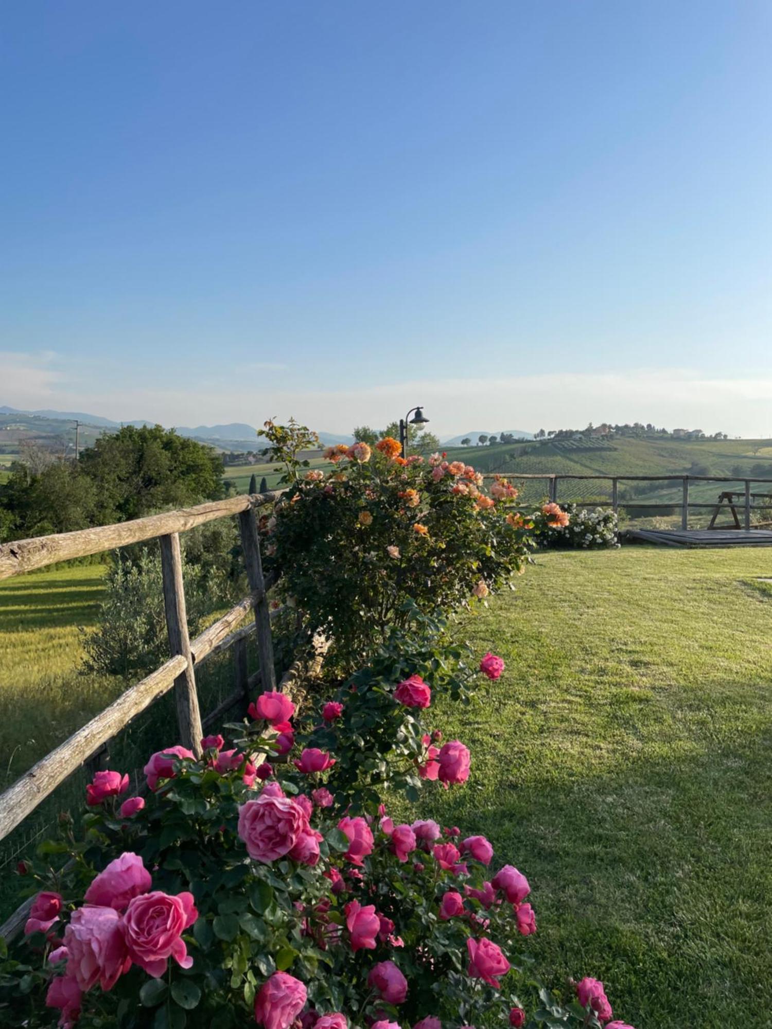 Montenovo Country House Ostra Vetere Екстер'єр фото