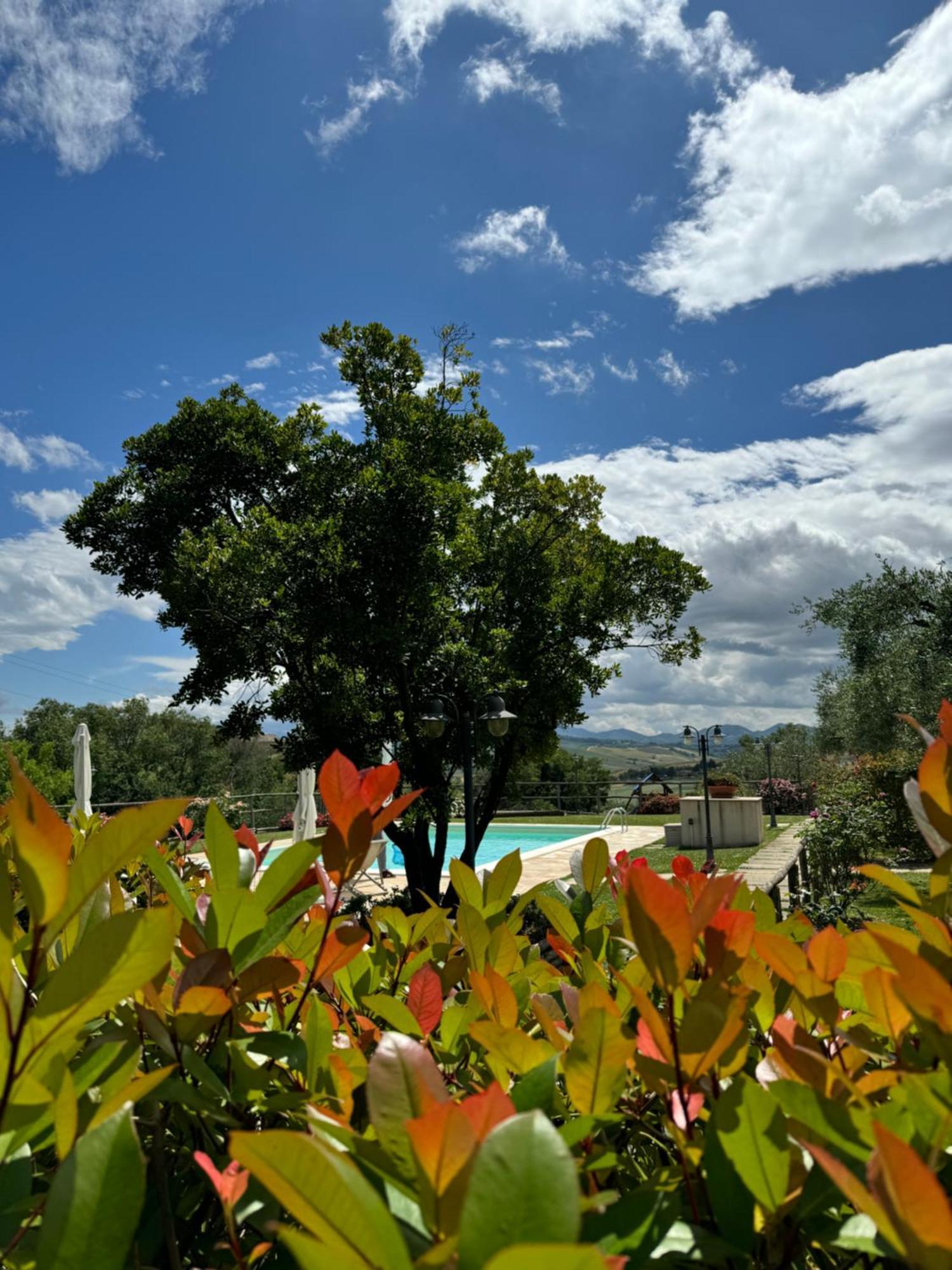 Montenovo Country House Ostra Vetere Екстер'єр фото