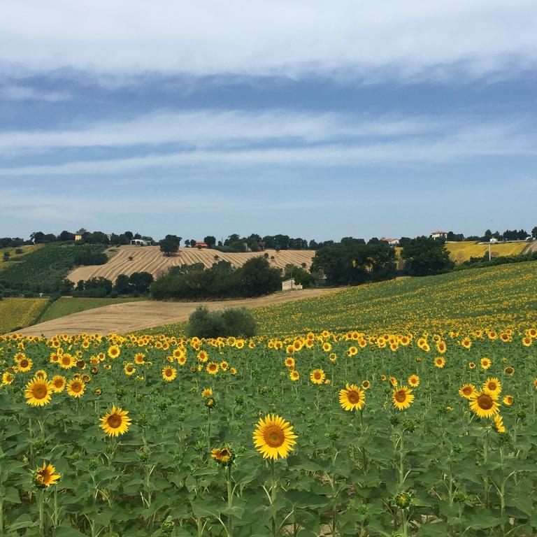 Montenovo Country House Ostra Vetere Екстер'єр фото